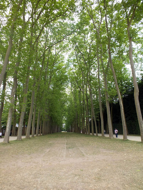 bosque del Palacio de Versalles