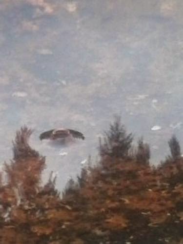 Northern California Ufo
