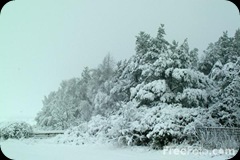 16_08_18---Snow-Scene_web