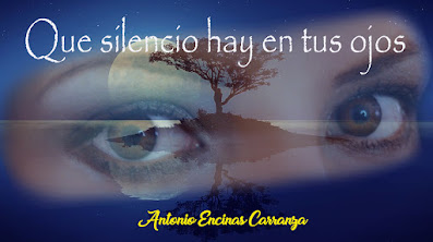 El silencio de tus ojos