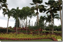 Hawaii 212 Hawaii 212