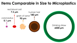 Size comparison: Mircroplastics