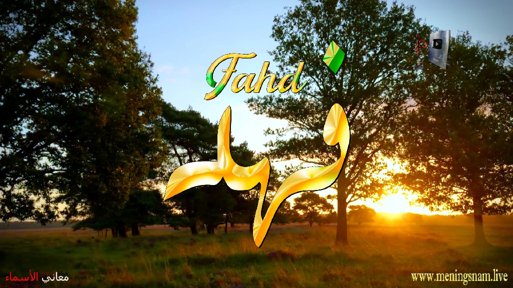 معنى اسم فهد, وصفات, حامل, هذا الاسم, Fahd,