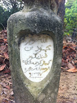 Pusara Allahyarham Mahmood Pendikar, Kg Bt 3, Damar Laut
