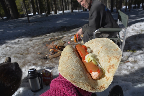 pølsegrilling i skauen grillpølse