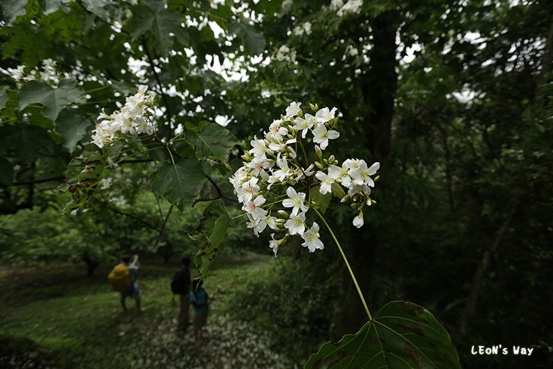blog_0119