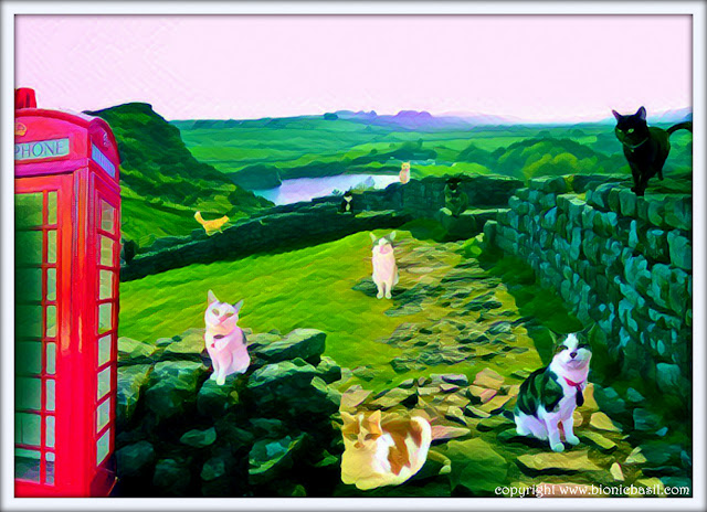 The B Team's Hadrian's Wall Selfie ©BionicBasil® Caturday Art Blog Hop