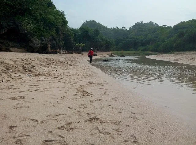 sungai di pantai greweng