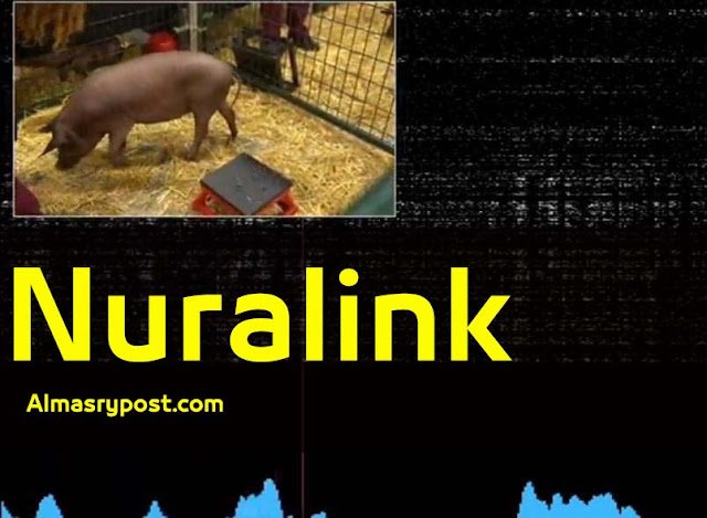 معلومات وحقائق جديدة عن شريحة نيورالينك Nuralink