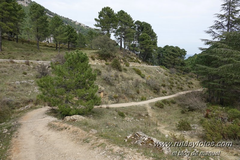 Sendero El Bosque - Benamahoma - Grazalema