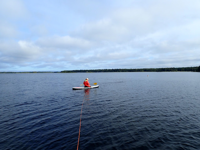 Henkilö SUP-laudalla