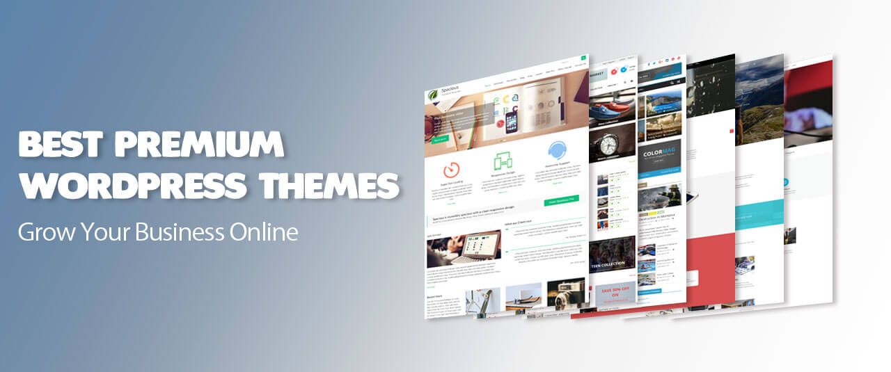 Discover the Top 10 Professional Themes for WordPress