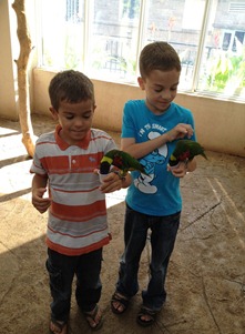 boys in bird kingdom[5]