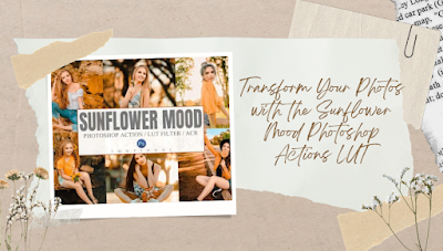 Transform Your Photos with the Sunflower Mood Photoshop Actions LUT