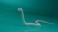 3d model snake skeleton