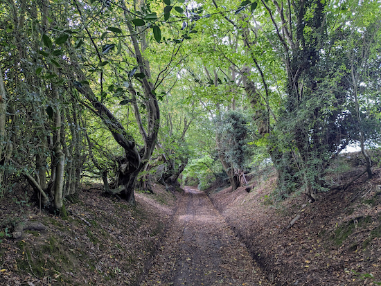 The byway that is both Wheathampstead BOAT 3 and Hatfield BOAT 56