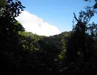 IMG_8837