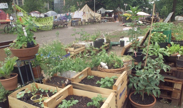 OccupyFFM6