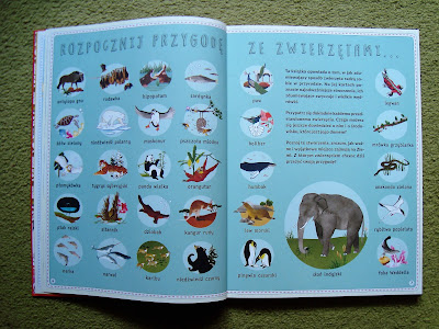 atlas przygód zwierząt, książka z ilustracjami o zwierzętach, książka dla dzieci