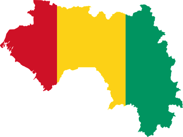 Profil negara Guinea