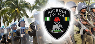 See Nigeria Police Salary and How Much Officers Earn