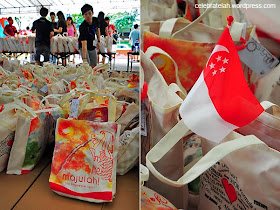 Singapore's National Day celebrations Photos 2011