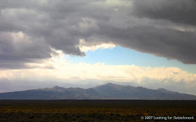 antelope