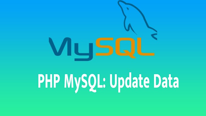 PHP MySQL: Update Data