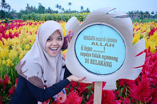 Kebun bunga merasi