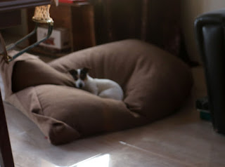 Louise loves the beanbag