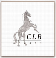 CLB Horses sketch