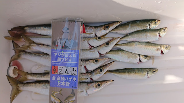 清水港　ファミリーフィッシング　サビキ　アジ　カマス