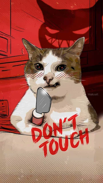 Don't touch, my phone, Funny, Cat