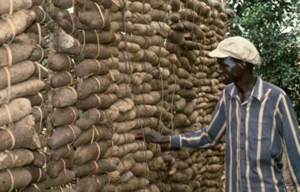 Image result for yam barns in benue state of nigeria