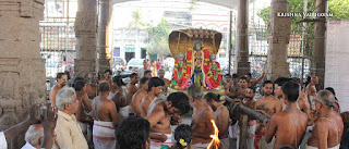 Sri Ranganatha Perumal, Pallava Utsavam, Sri Mannatha Perumal,Thirumanjanam, Purappadu,  Triplicane,  Purappadu, Thiruvallikeni, Utsavam, 