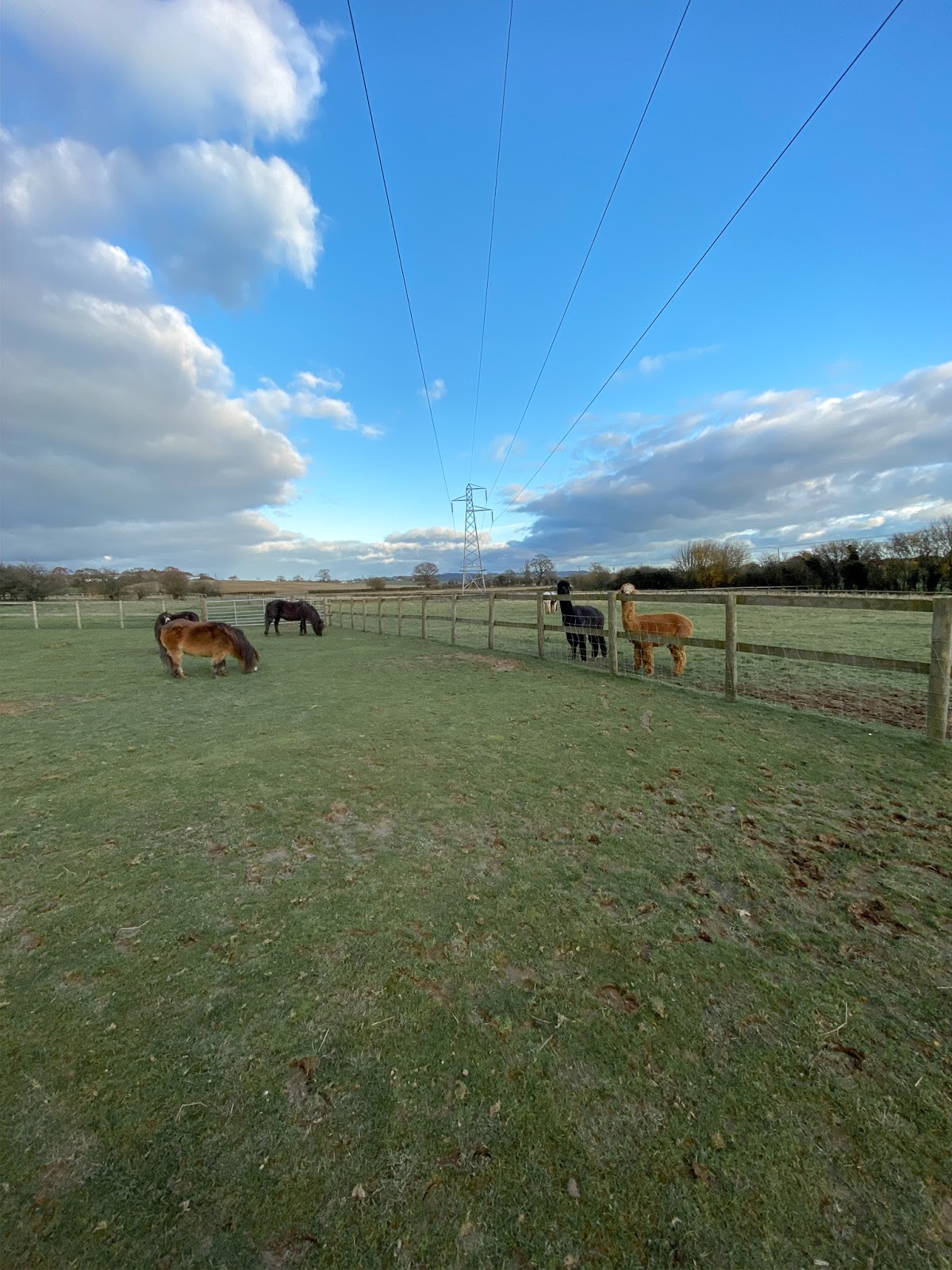 kent-countryside