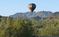 Balloon Net For Hot Air Balloon3