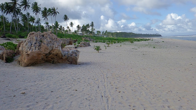 at the white sands of Jagnaya Yolanda Beach in Salcedo Eastern Samar