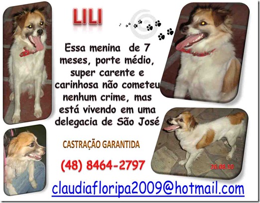 lili2