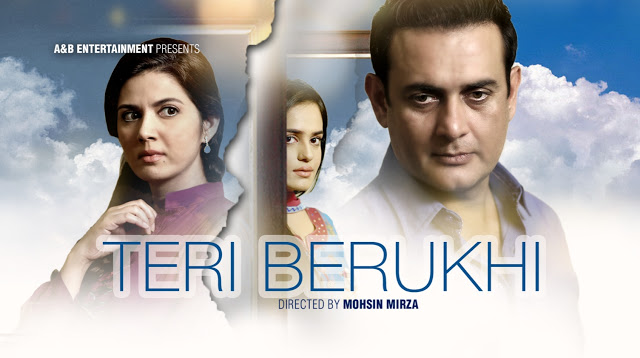 Teri Berukhi Serial on Zindagi Tv