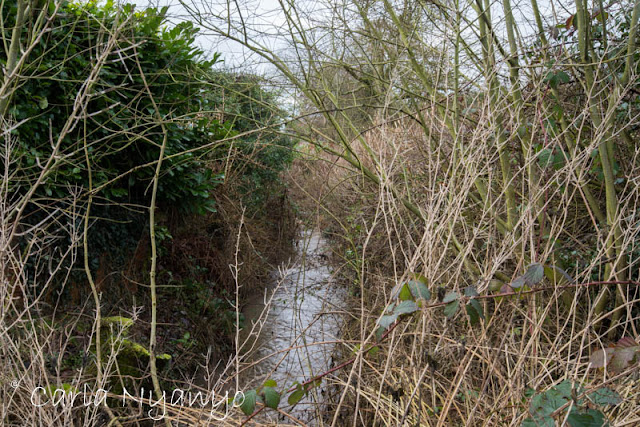 onward from butt lane