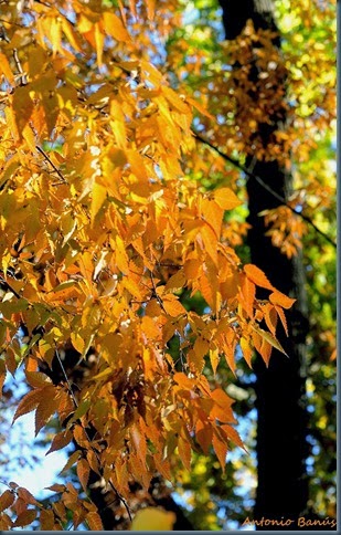 _DSC8556x1