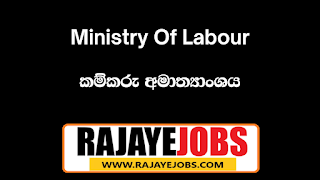 Government job Vacancies 2023