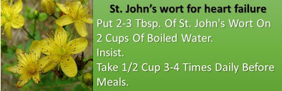 St. John's Wort for congestive heart failure (CHF)