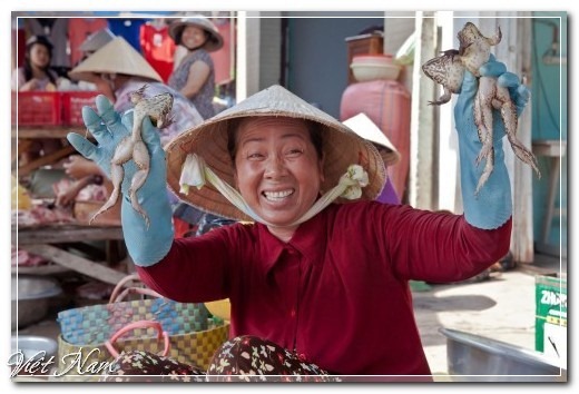 Việt Nam đẹp và... lạ dưới ống kính Yan Lerval