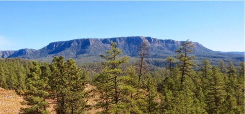 HikingMilitarySinkholeTrail-22-2013-11-7-20-56.jpg