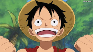 ワンピースアニメ 516話 ルスカイナ  ルフィ Monkey D. Luffy 修行 | ONE PIECE Episode 516