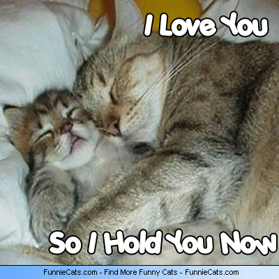 I Love You I Love You