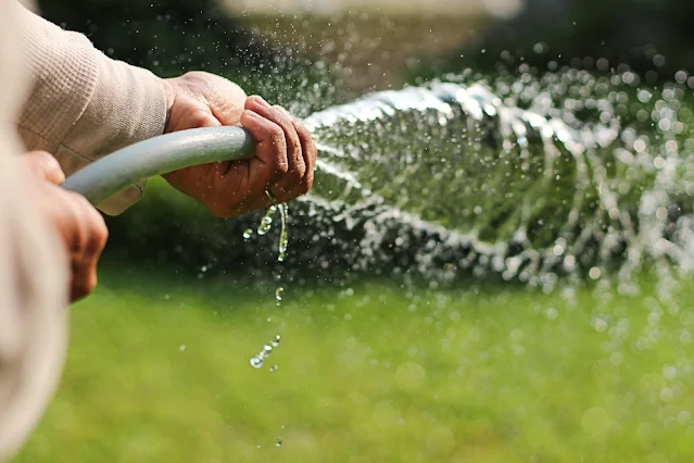 Best Way To Water Grass Without Sprinkler System