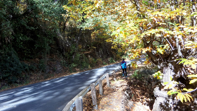 Ramblon, otoño, senderismo, Jérez del Marquesado
